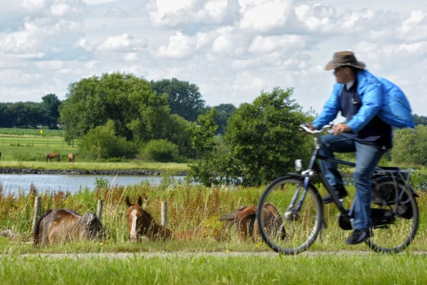 C9ec0638 91Ca 11E9 A7dd Cddb8263c864 Web Scale 0.0698561 0.0698561